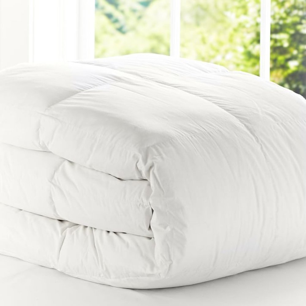 PB Teen Classic Down Duvet Insert (Queen)